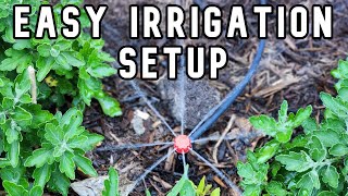 Easy garden irrigation system for beginners
