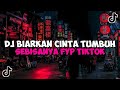 DJ BIARKAN CINTA TUMBUH SEBISANYA DJ KARNA SU SAYANG JEDAG JEDUG MENGKANE VIRAL TIKTOK