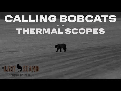 Season 5 FINALE: Calling Bobcats Across 600 Yard Field With THERMAL | The Last Stand S5:E15