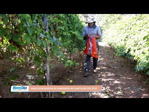 Vida no Campo 28 07 2022