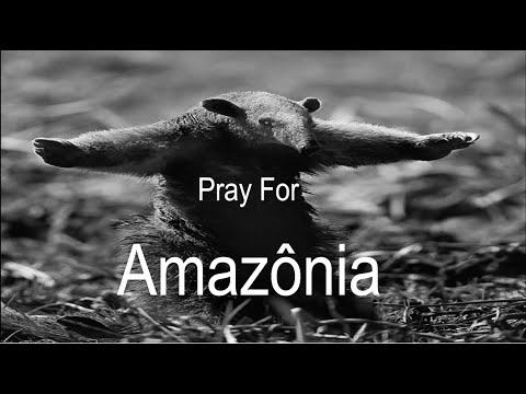 Mr. Gomes - Nossa Amazônia   (Pray For Amazonia)