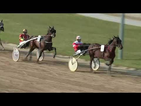 2017.10.14. 3. futam - NYERETLEN KÉTÉVESEK VERSENYE