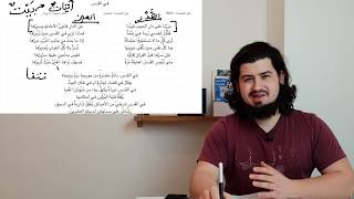 Studying Arabic poetry. Poetry Walk Through Series || Episode #1