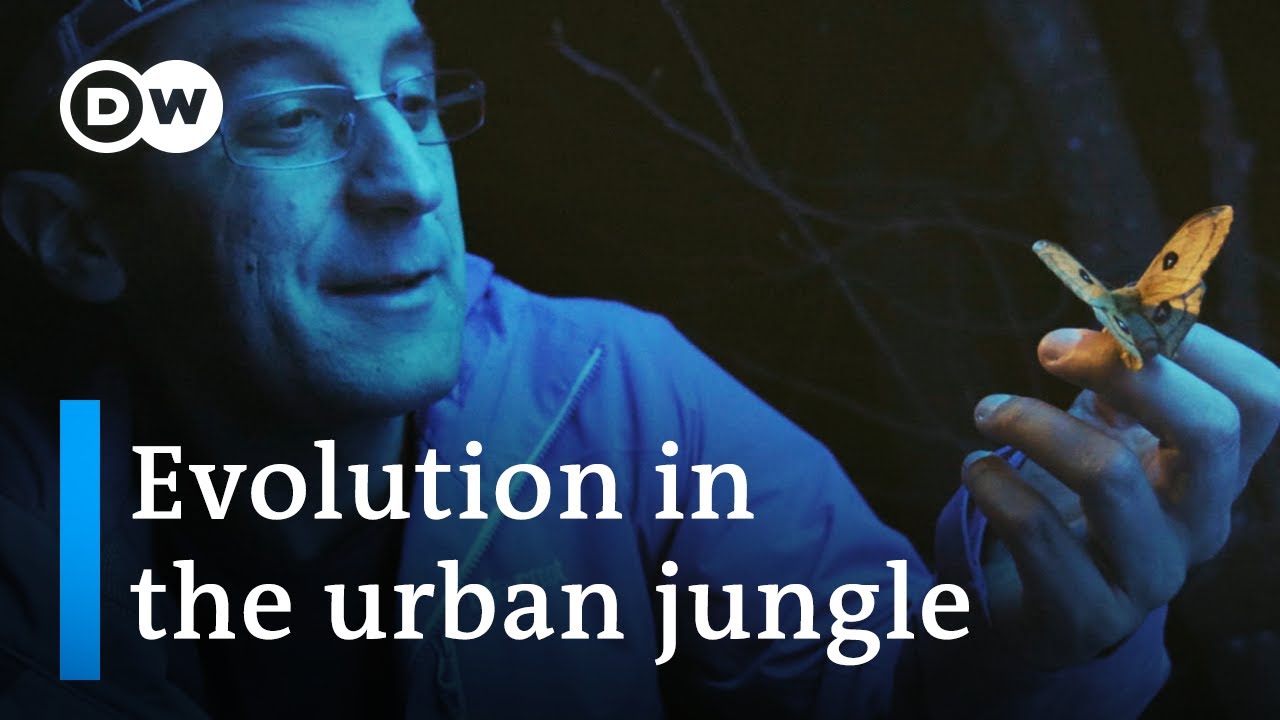 Nature's Response to Urban Sprawl