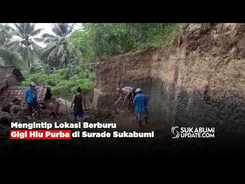 Mengintip Lokasi Berburu Gigi Hiu Purba di Surade Sukabumi