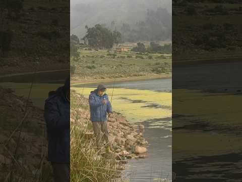 Pesca de pejerrey en Cochabamba #bolivia #pesca #pejerrey #pescando