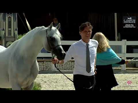 Prague  2023 Intercup   Class 12