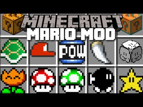 Minecraft MARIO MOD / SAVE THE VILLAGERS FROM BOWSER!! Minecraft