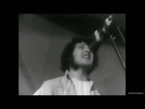 Early Fleetwood Mac, LIVE, SHAKE YOUR MONEY MAKER