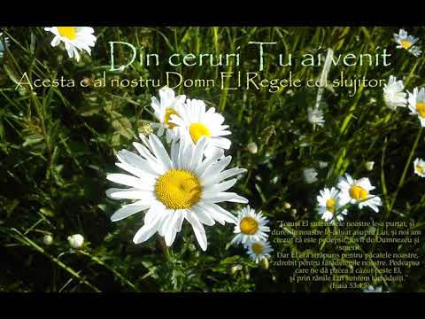Din ceruri Tu ai venit murind ca noi toti sa traim [Acesta e al nostru Domn, El Regele cel slujitor]