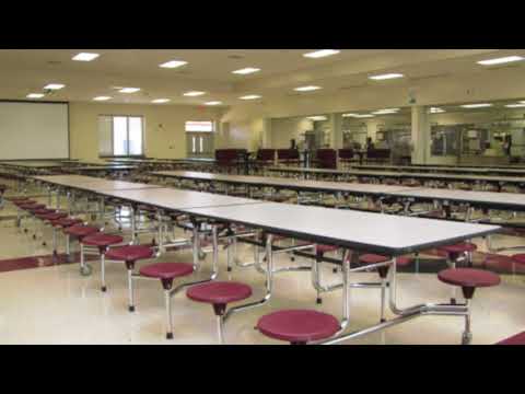 Module 3 Lesson 1 Engage