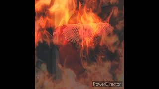 Download lagu HITM SMOKE - Let The Silent Speak mp3