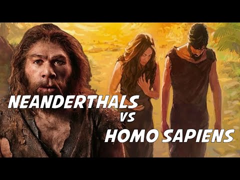 Homo sapiens VS Neanderthals | What Makes Us Homo sapiens And Not Neanderthals