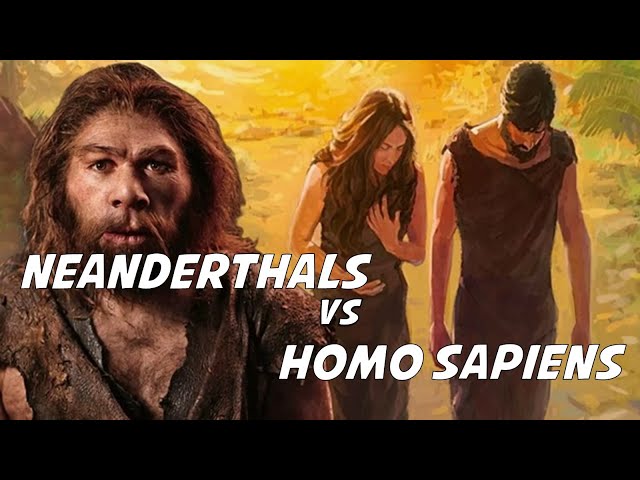 Homo sapiens VS Neanderthals | What Makes Us Homo sapiens And Not Neanderthals SDDEFAULT Thumbnail