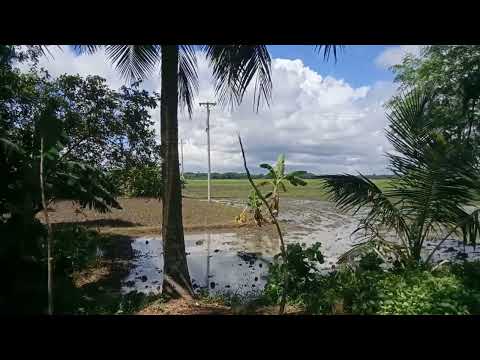 #beautiful #nature #Viral https://youtube.com/@endulaskar3964