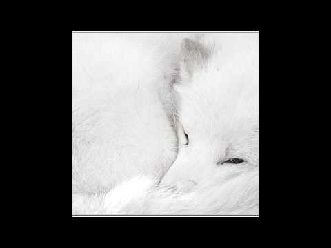 Castles-Daniel Nitt // Kokowääh 2