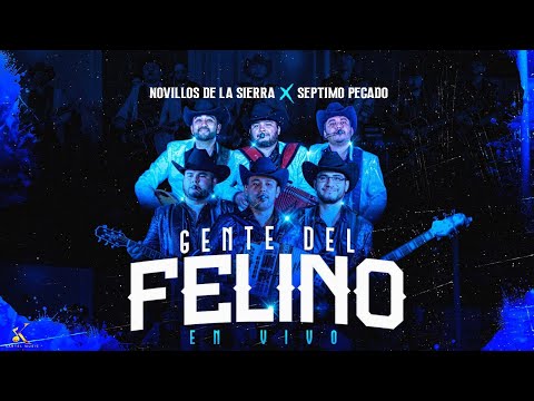 Gente Del Felino - Novillos de la Sierra