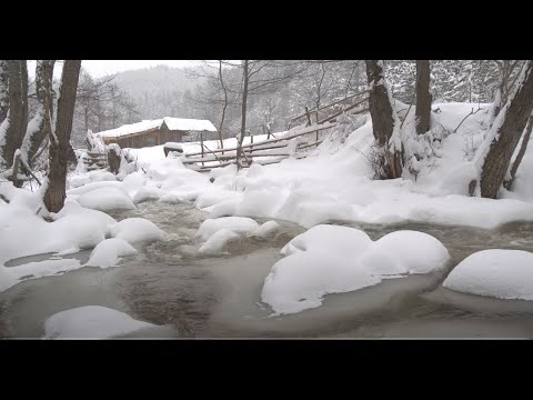 4K HDR Snowy Stream   Winter Forest Scenery & Brook Sounds   Snowfall & Flowing Water   Relax# Sleep