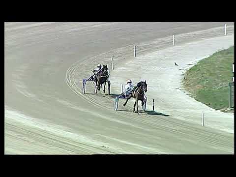 Napoli Trotto 28/03/2021 - prova di qualifica