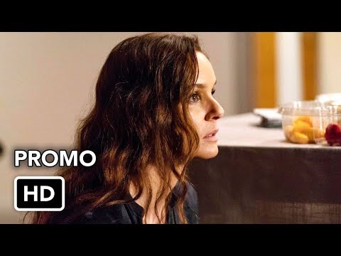 Colony 3.07 (Preview)