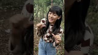 Download lagu panggilan #indosiar mp3