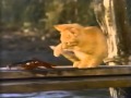 Milo And Otis 300 Mash Up Trailer
