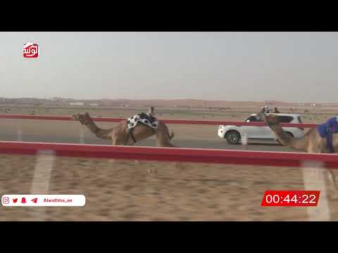  ش 26 (الروضة) لـ سالم احمد بن عفيره العامري 2:13 ، شارة الصندوق 2026/07/13 فطامين الروضة