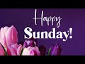 Happy Sunday Whatsapp Status Happy Sunday Status Happy Sunday Good Morning Whatsapp Status Video