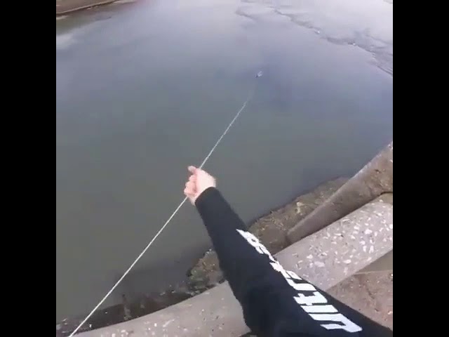 Снайпер на рыбалке