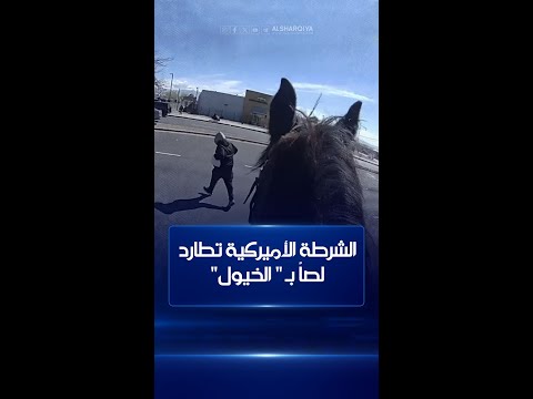 شاهد بالفيديو.. عناصر من الشرطة الأميركية تطارد بالخيول لصاً سرق بضائع بقيمة 230 دولاراً من أحد المتاجر في أميركا