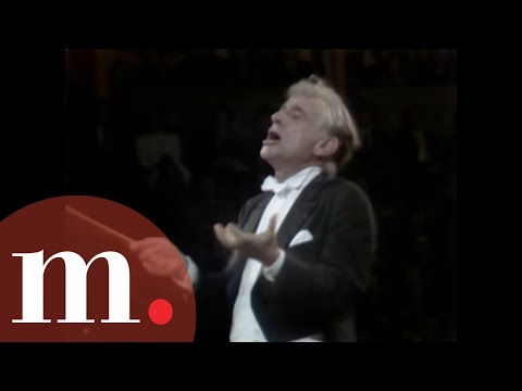 Facing an orchestra: your 2-minute guide to the art of conducting