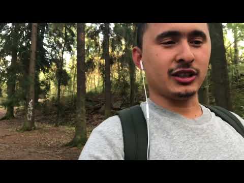 OGOH BO’LING MUTTAXAMLAR EUROPADA DIQQAT