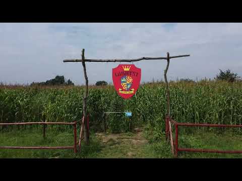 Bilety pojedyncze i rodzinne do Labiryntu Królowej Bony (do -33%) - Second Medium