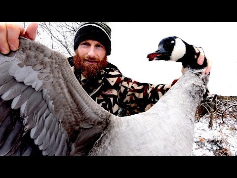 download lagu mp3 mp4 How To Make Goose Burgers, download lagu How To Make Goose Burgers gratis, unduh video klip How To Make Goose Burgers