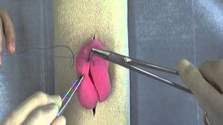 Cushing and Connell Suture Patterns