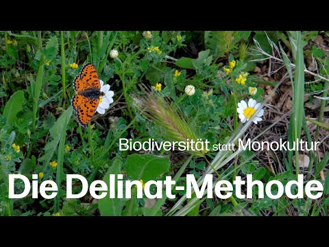 Ökosystem Weinbau: Die Delinat-Methode auf Château Duvivier