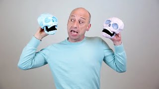 Baba Yaga and the Firebird | New Victory Theater 2024-25 Season