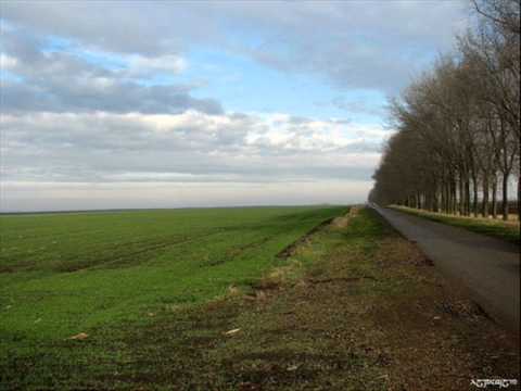 Tamburaške pesme: DAJ UPREGNI DVA VRANCA U ČEZE