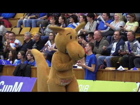Kladno volejbal cz - Arcada Galati  3:2   CEV Cup  Kladno 7.12. 2017/ Atmosféra, momentky