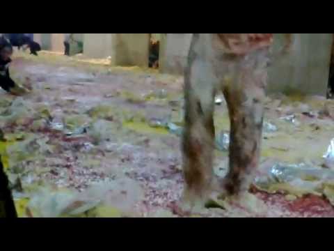 Torta e Pavaresise se SHQIPERISE.mp4