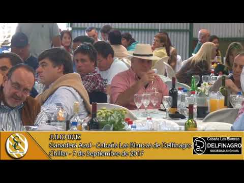 07-09-17 Nota Julio Ruiz - Cabaña Las Blancas de Delfinagro S.A. - Chillar