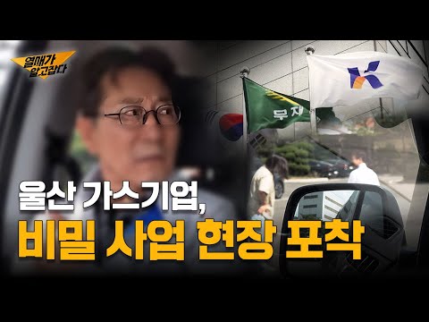 안전관리 평가 전국 1등 기업?! 과연 진실은…? | 열매가 알고JOB다