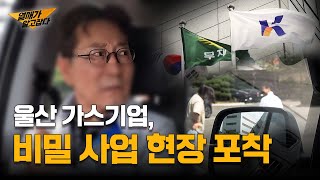 안전관리 평가 전국 1등 기업?! 과연 진실은…? | 열매가 알고JOB다