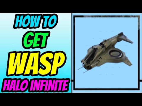 How To Get Wasp in Halo Infinite