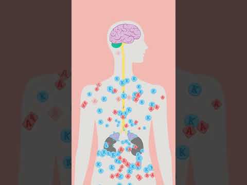 Chronischer #stress - wann zum Arzt?