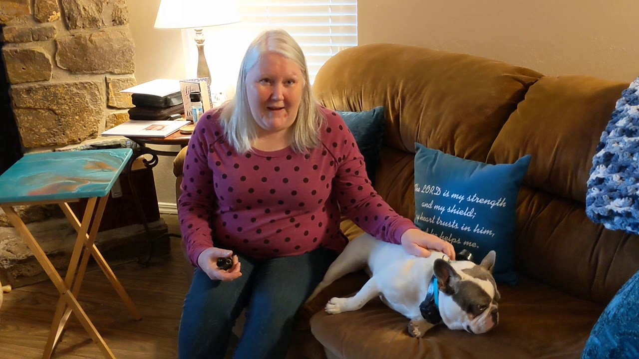 Tip Top K9 Reviews | Tulsa Dog Board and Train | Tip Top K9 | Lynn