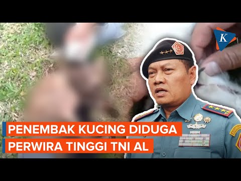 KSAL Minta Proses Hukum Penembak Kucing di Bandung