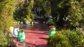 Majorrelle Gardens, Marakesh Morroco