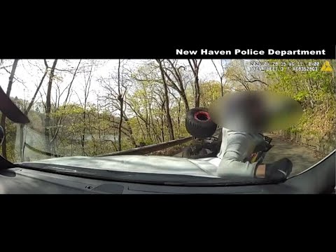 WATCH: ATV rider crashes into New Haven police cruiser