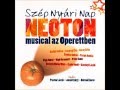 Szép Nyári Nap - NEOTON musical az Operettben ...